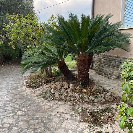 Il Giardino Delle Cycas Lägenhet Romito Magra Exteriör bild