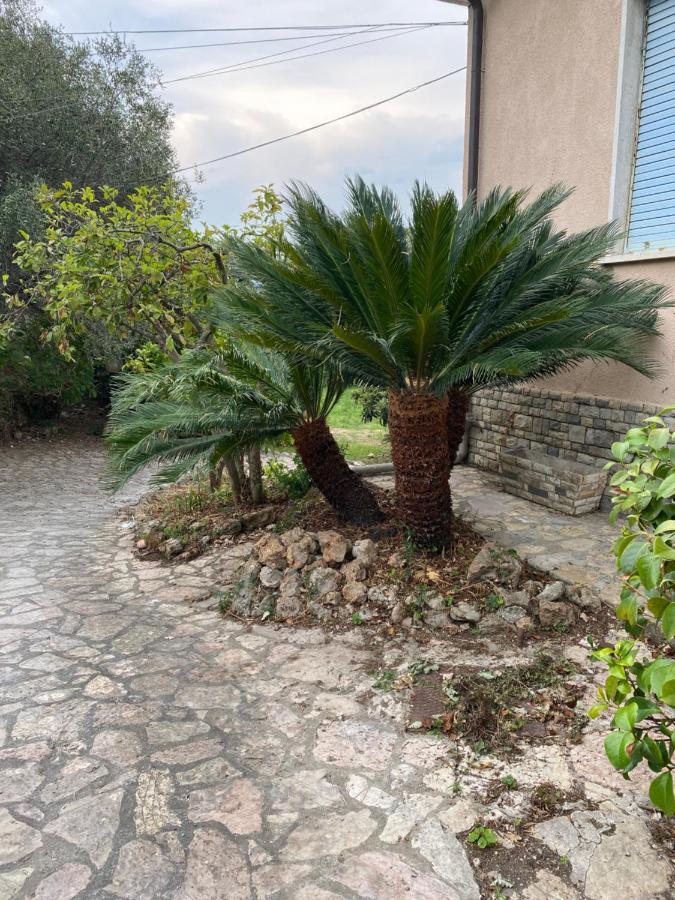 Il Giardino Delle Cycas Lägenhet Romito Magra Exteriör bild