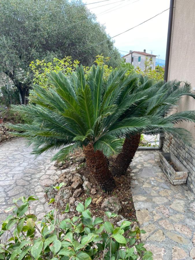 Il Giardino Delle Cycas Lägenhet Romito Magra Exteriör bild